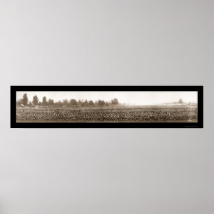 ROTC Fort Myer WWI Photo 1917 Poster