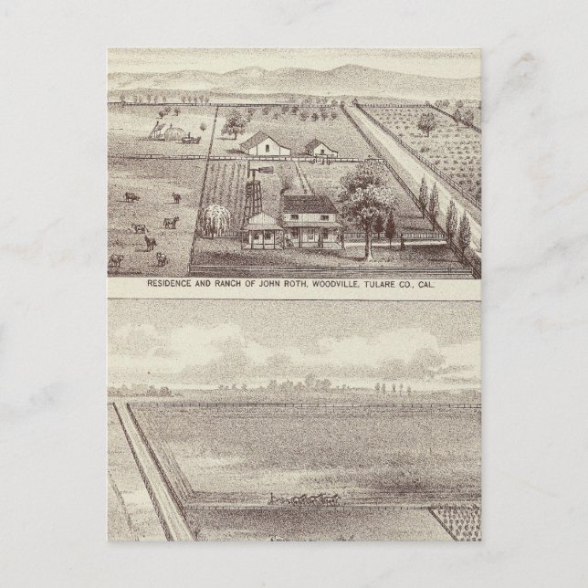 Roth, Scruggs ranches Postcard (Front)