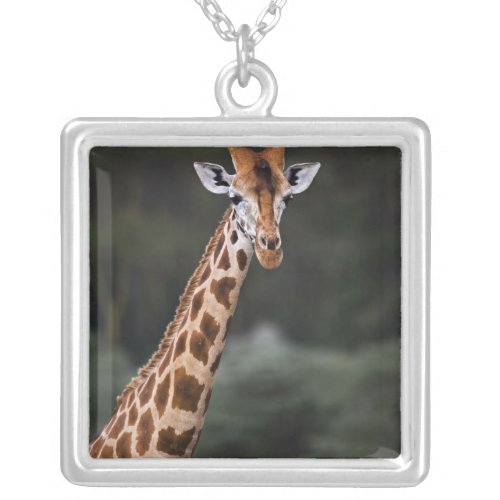 Rothschilds Giraffe Lake Nakuru National Park Silver Plated Necklace