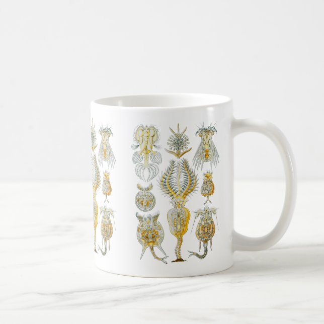 Rotifers Coffee Mug (Right)