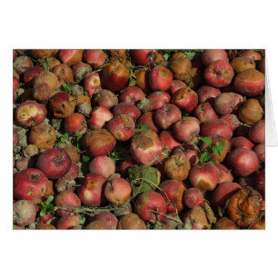 Rotten Apples Cards