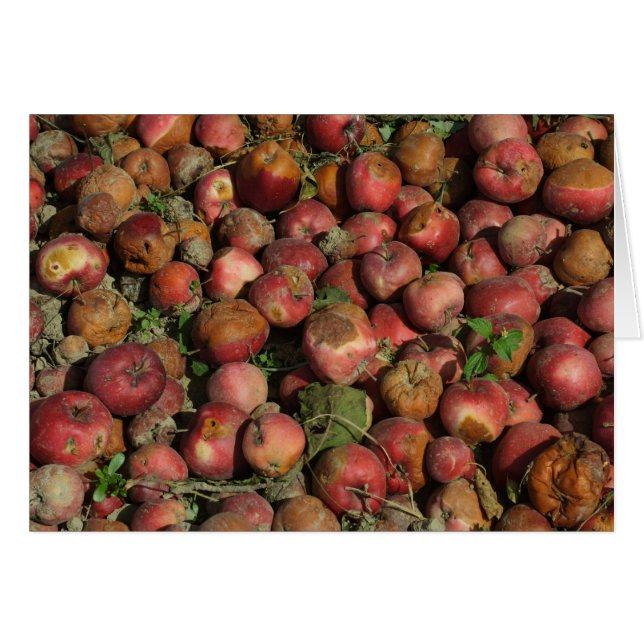 Rotten Apples Cards (Front Horizontal)