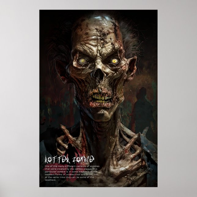 Rotter Zombie -  Poster (Front)
