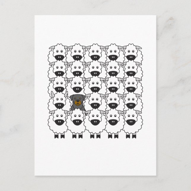 Rottie in the Sheep Postcard (Front)