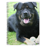 Rottie Notebook