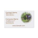 Rottie Pup Business Cards