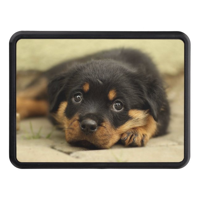 Rottweiler20150901 Hitch Cover (Front)