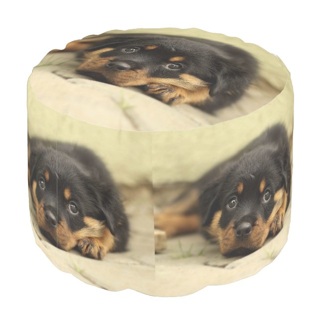 Rottweiler20150901 Pouf (Angled Back)