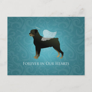 Rottweiler Angel - Pet Memorial Design Postcard