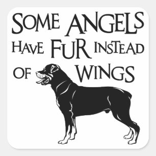 ROTTWEILER ANGEL SQUARE STICKER