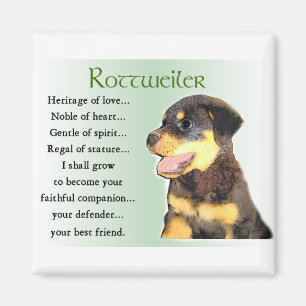 Rottweiler Art Gifts Magnet
