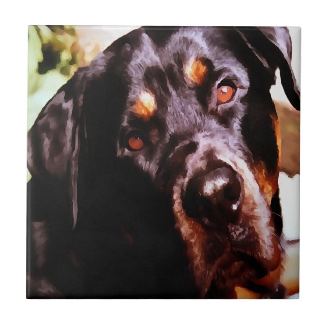 Rottweiler Artistic Pet Portait Ceramic Tile (Front)