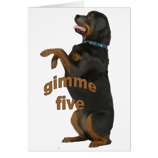 rottweiler_begging cards (Front)