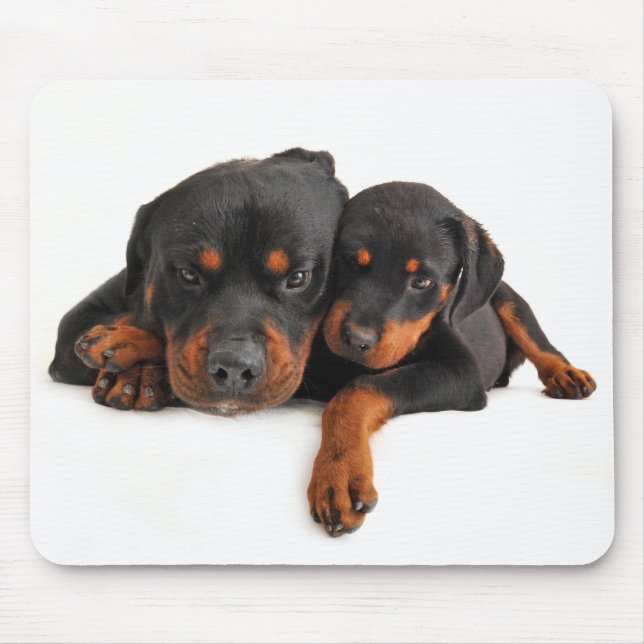 Rottweiler Brown & Black Puppy Dog Love Mouse Pad (Front)