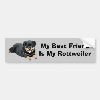 Rottweiler Bumper Sticker by normagolden at Zazzle