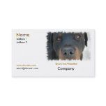 Rottweiler Business Card