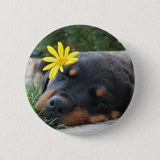 Rottweiler Button (Front)