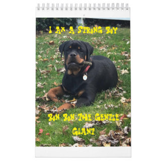 Rottweiler Calendar 