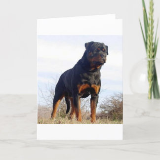 Rottweiler Card