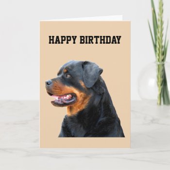 Rottweiler Card by LATENA at Zazzle