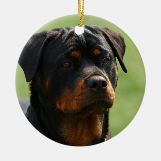 Rottweiler Ceramic Ornament (Front)