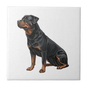 Rottweiler Ceramic Tile