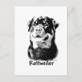 Rottweiler Charcoal Postcard