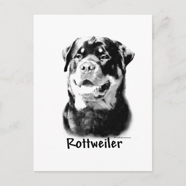 Rottweiler Charcoal Postcard (Front)