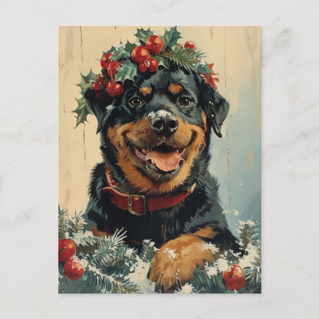 Rottweiler Christmas  Postcard (Front)