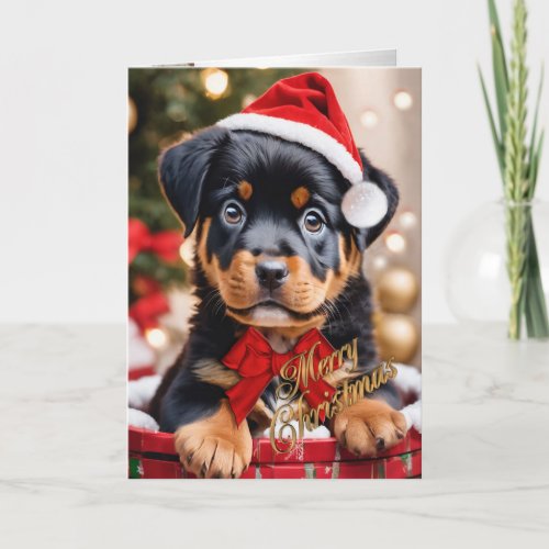  Rottweiler Christmas puppy in a basket   Holiday Card