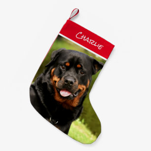 Rottweiler Christmas Stocking
