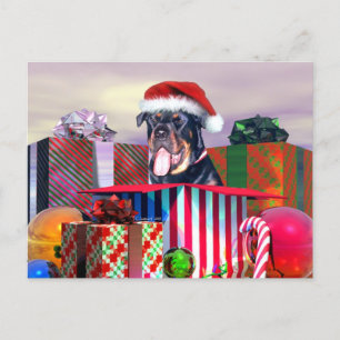 Rottweiler Christmas Surprise Holiday Postcard