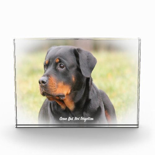 Rottweiler Dog Acrylic Award