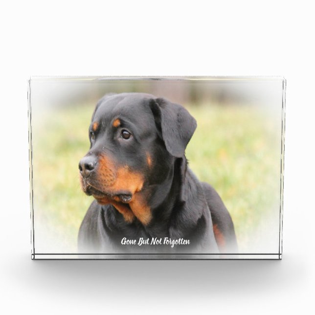 Rottweiler Dog Acrylic Award (Front)