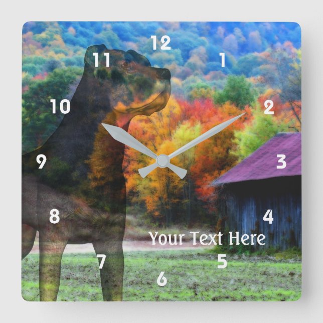 Rottweiler Dog And Old Tobacco Barn Personalized Square Wall Clock (Front)