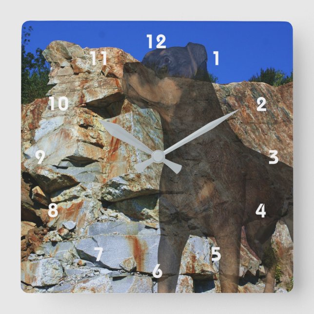 Rottweiler Dog And Rock Wall Cliff Fantasy Art Square Wall Clock (Front)