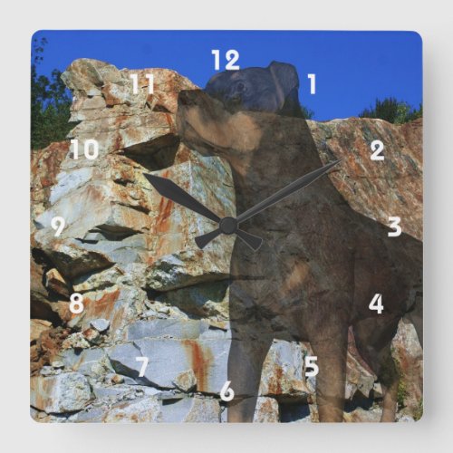 Rottweiler Dog And Rock Wall Cliff Fantasy Square Wall Clock