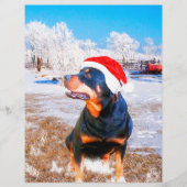Rottweiler Dog Christmas Painting (Front)