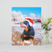 Rottweiler Dog Christmas Painting (Standing Front)