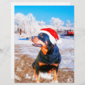 Rottweiler Dog Christmas Painting (Front/Back)
