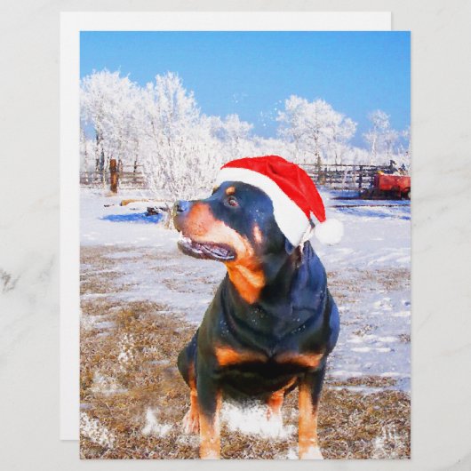 Rottweiler Dog Christmas Painting (Front/Back)