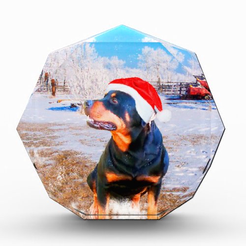 Rottweiler Dog Christmas Painting Acrylic Award