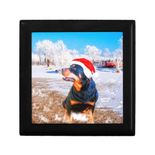Rottweiler Dog Christmas Painting Gift Box