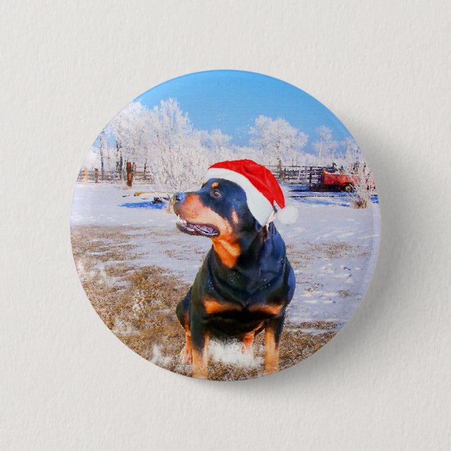 Rottweiler Dog Christmas Painting Pinback Button (Front)