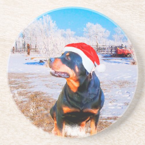 Rottweiler Dog Christmas Painting Sandstone Coaster
