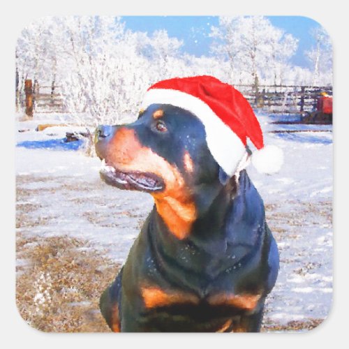 Rottweiler Dog Christmas Painting Square Sticker