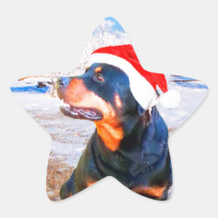 Rottweiler Dog Christmas Painting Star Sticker