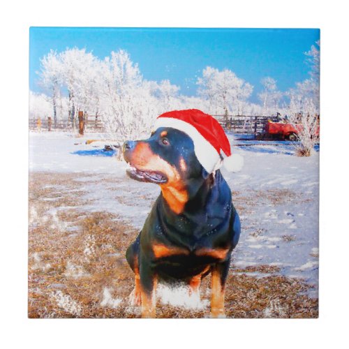 Rottweiler Dog Christmas Painting Tile