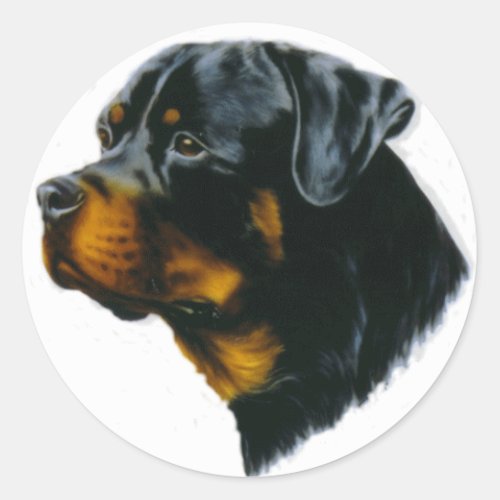rottweiler dog classic round sticker