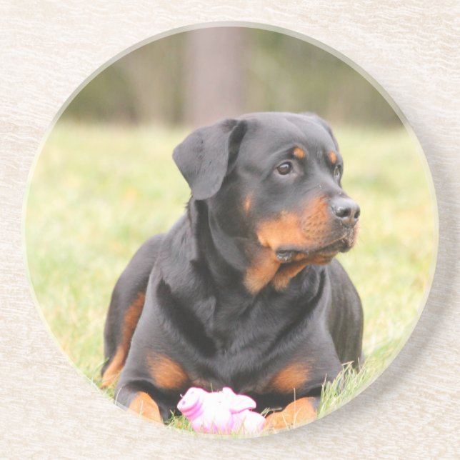 Rottweiler Dog Drink Coaster (Front)